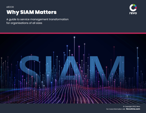 Revo-why-SIAM-matters
