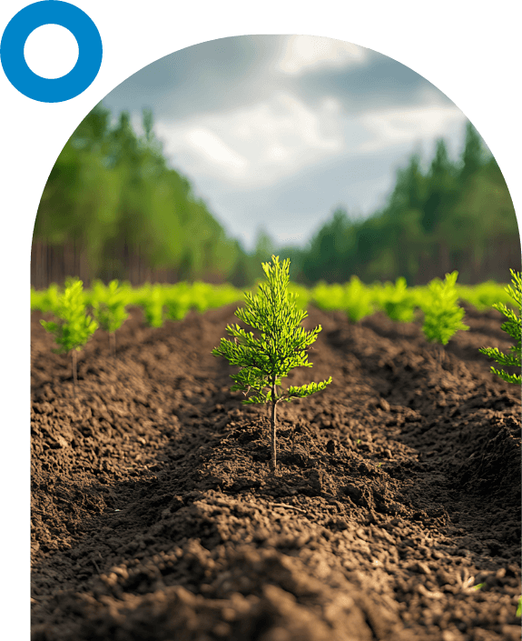 Sustainability at RevoSM